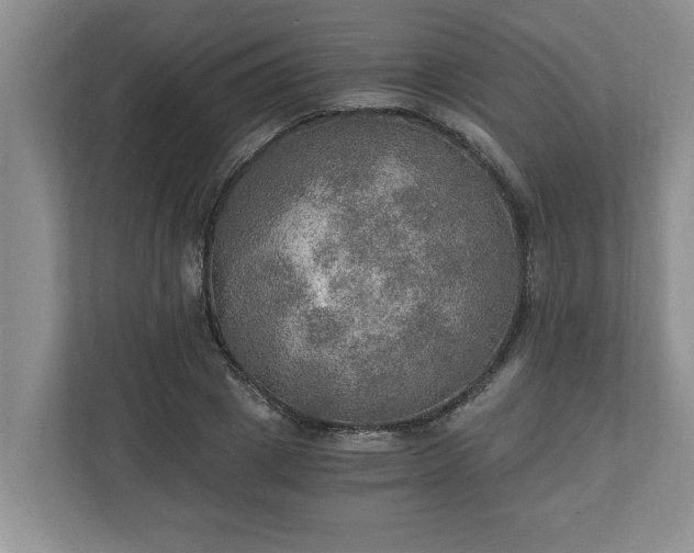 X0000110890833200906251316