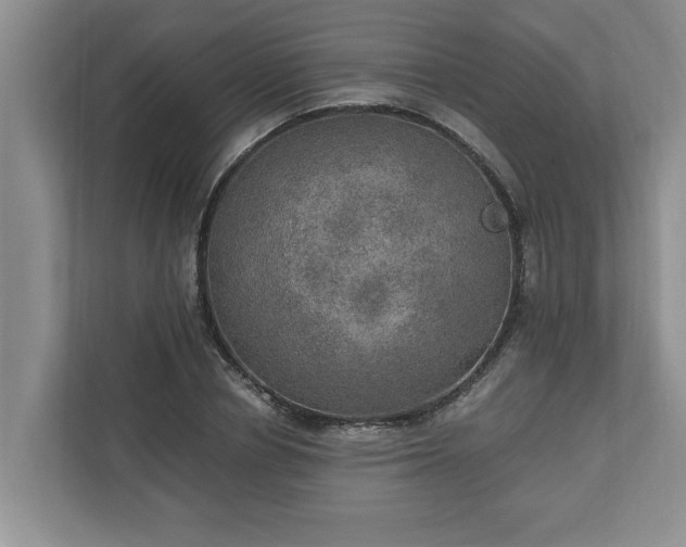 X0000110890834200906251316