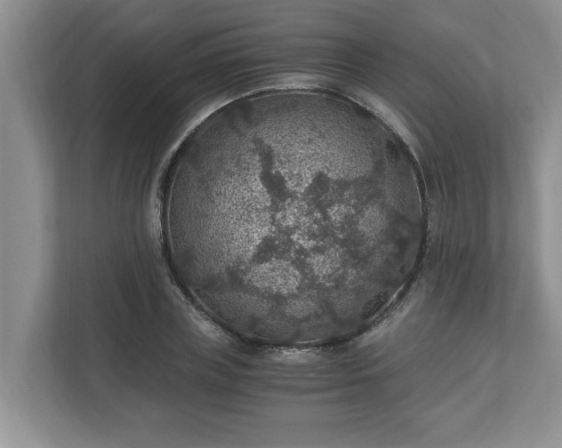 X0000110890835200906251316