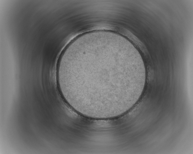 X0000110890836200906251316