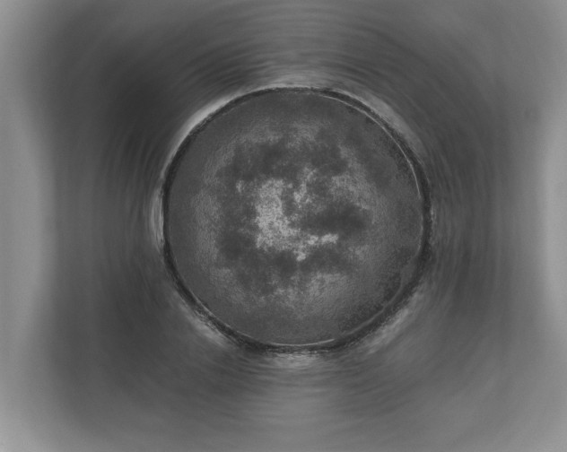 X0000110890838200906251316
