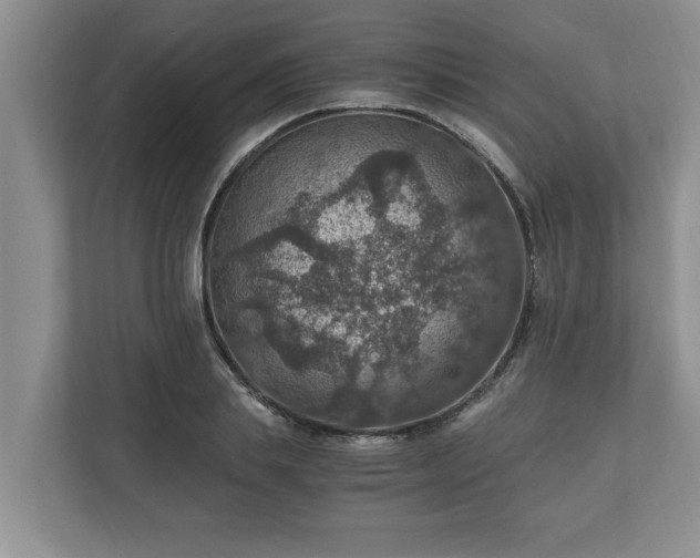 X0000110890839200906251316