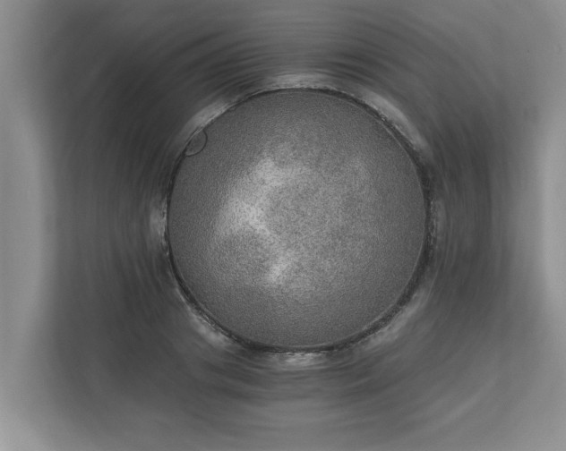 X0000110890841200906251316