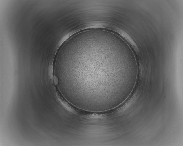 X0000110890842200906251316