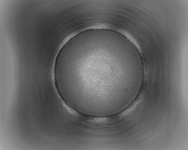 X0000110890845200906251316