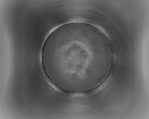 X0000110890846200906251316