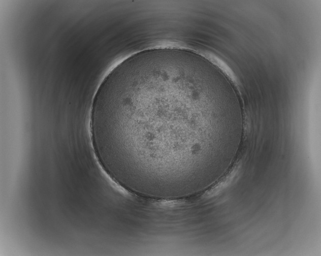 X0000110890847200906251316