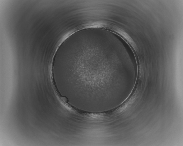 X0000110890850200906251316
