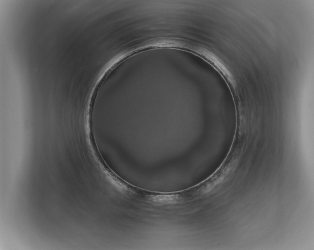 X0000110890853200906251316