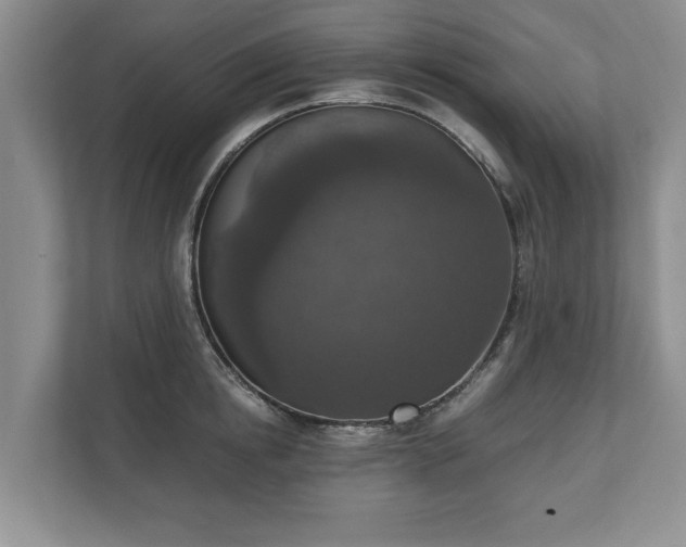 X0000110890854200906251316