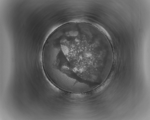 X0000110890855200906251316