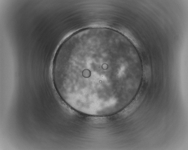X0000110890856200906251316