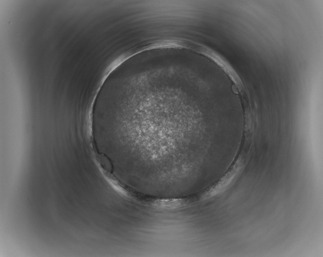 X0000110890858200906251316