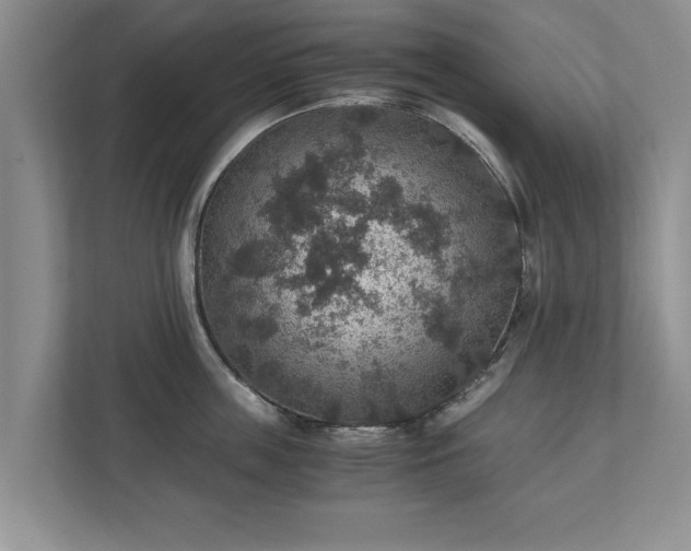 X0000110890859200906251316