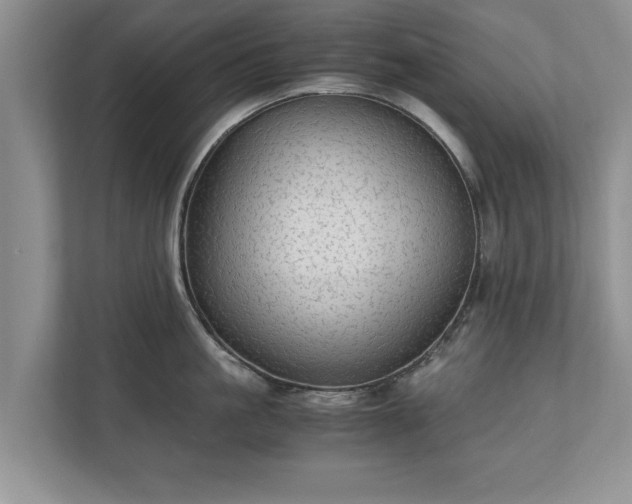 X0000110890861200906251316