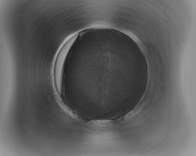 X0000110890864200906251316