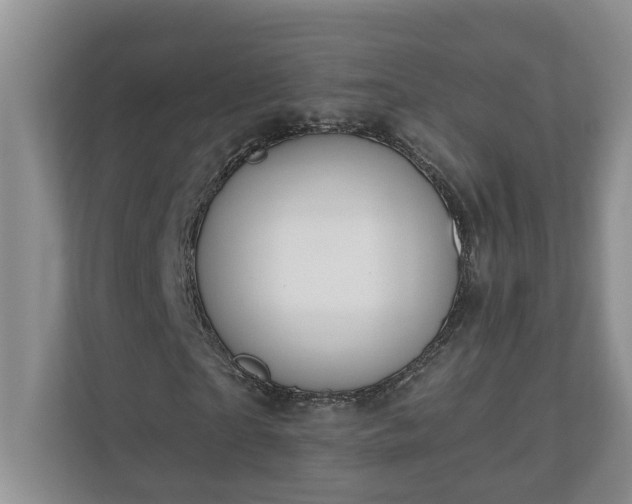 X0000110890865200906251315