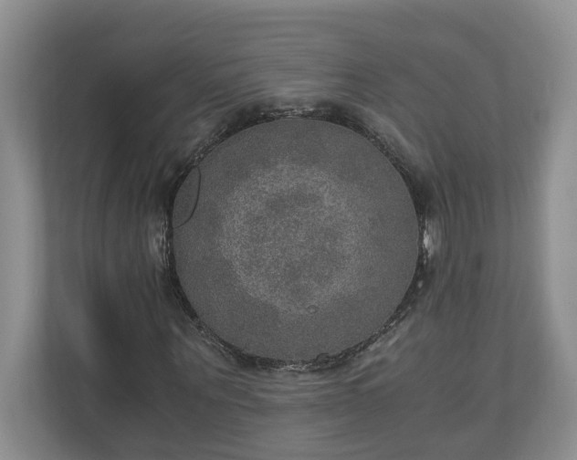 X0000110890867200906251315