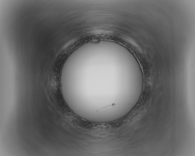 X0000110890869200906251315