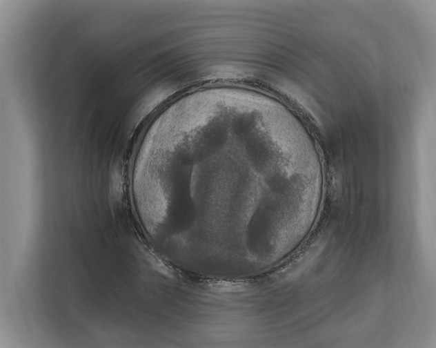X0000110890874200906251315