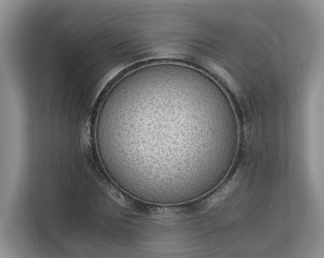 X0000110890875200906251315