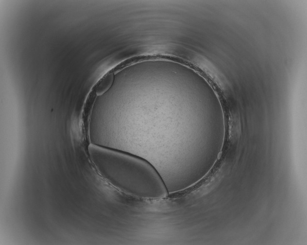 X0000110890876200906251315