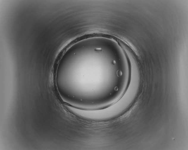 X0000110890877200906251315