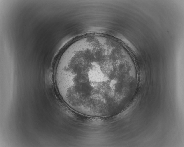 X0000110890878200906251315