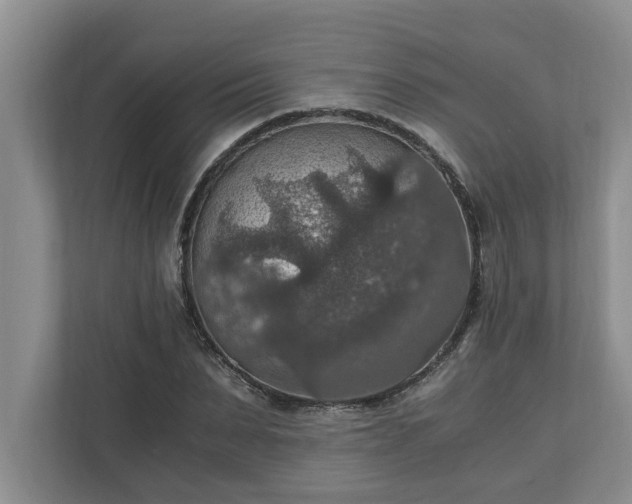 X0000110890879200906251315