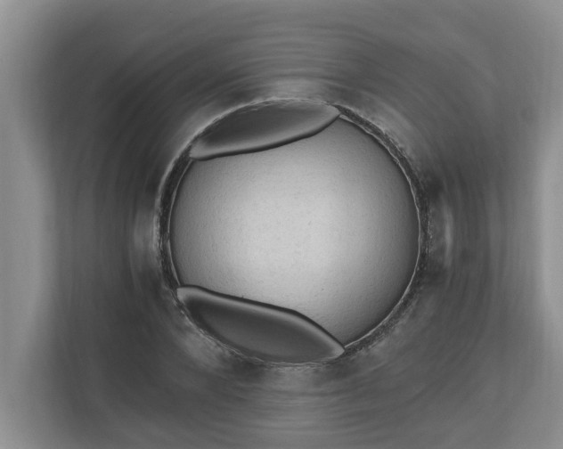 X0000110890880200906251315