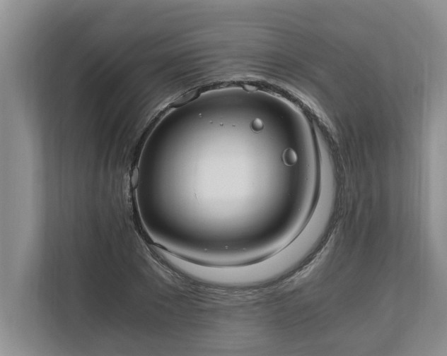 X0000110890881200906251315