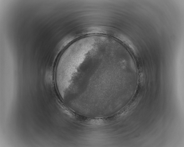 X0000110890882200906251315