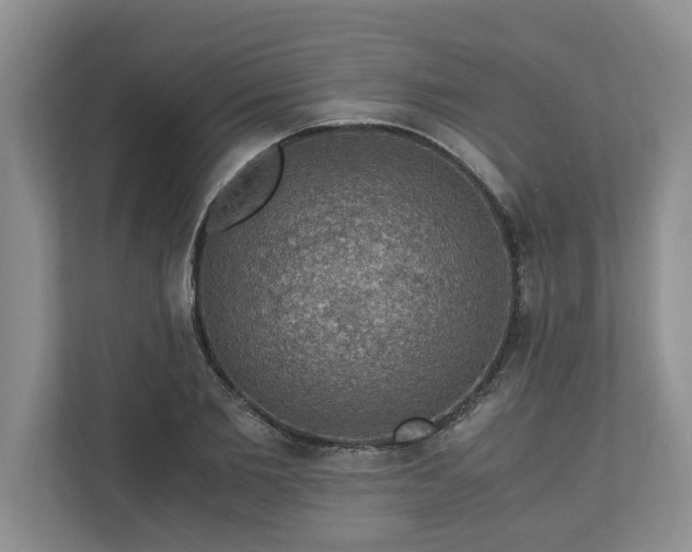 X0000110890885200906251315