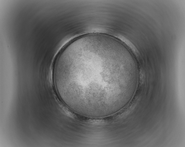 X0000110890886200906251315
