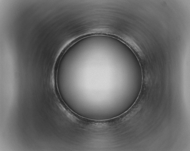 X0000110890888200906251315
