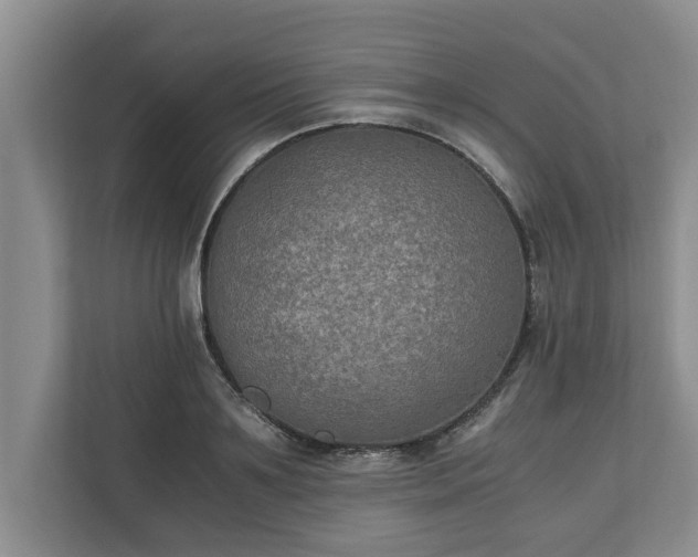 X0000110890891200906251315