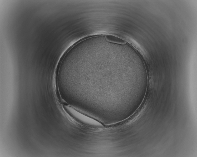 X0000110890892200906251315