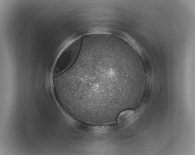 X0000110890893200906251315