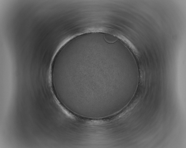 X0000110890894200906251315