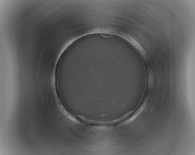 X0000110890896200906251315
