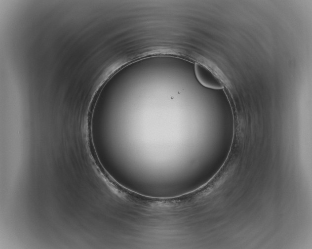 X0000110890898200906251315