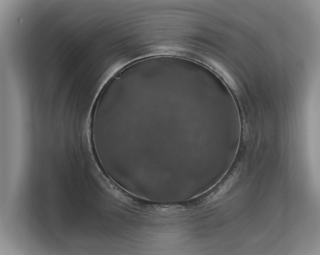 X0000110890899200906251315