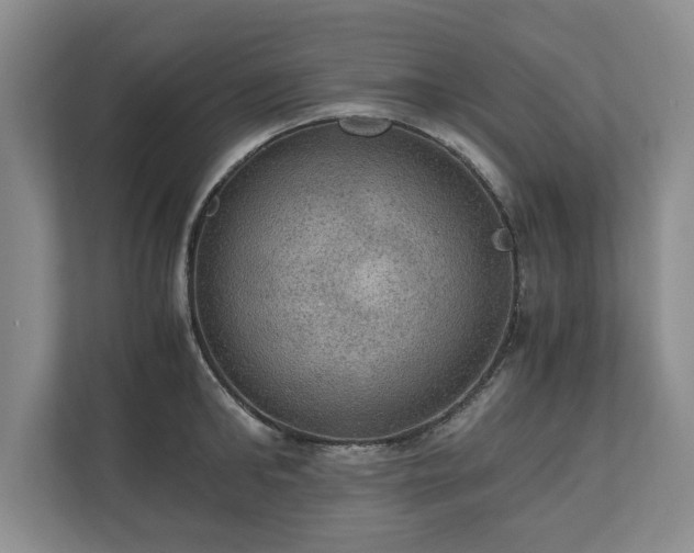 X0000110890902200906251315