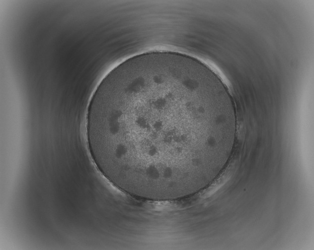 X0000110890903200906251315