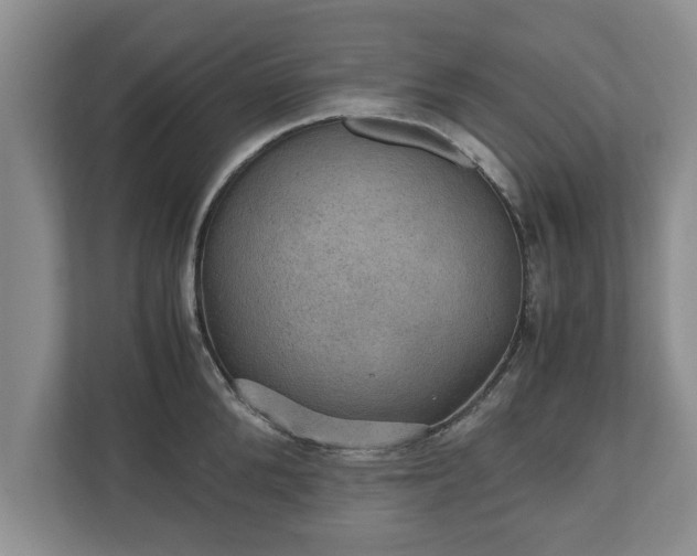 X0000110890904200906251315
