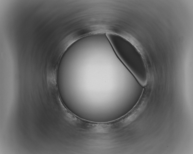 X0000110890905200906251315
