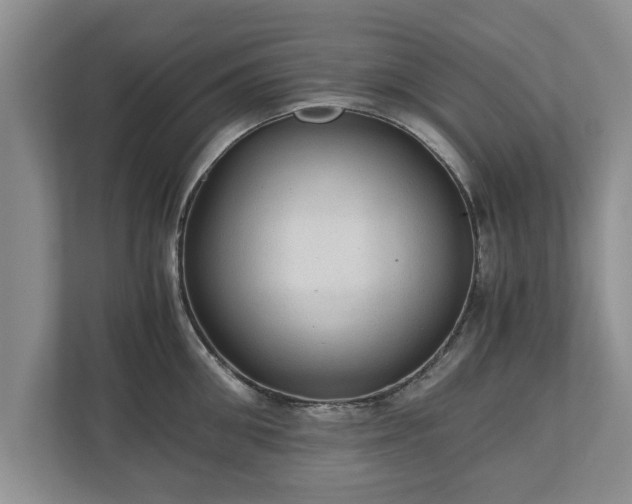 X0000110890906200906251315