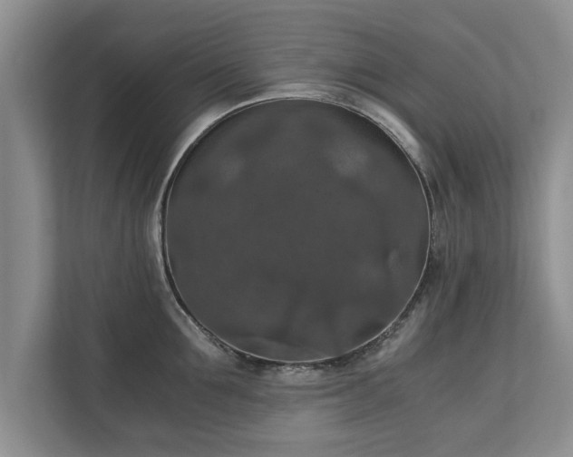 X0000110890907200906251315