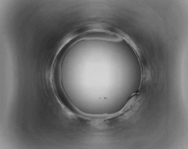 X0000110890909200906251315