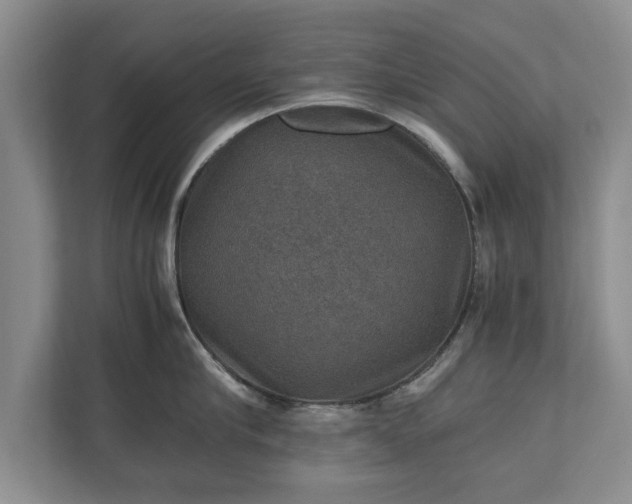 X0000110890910200906251315